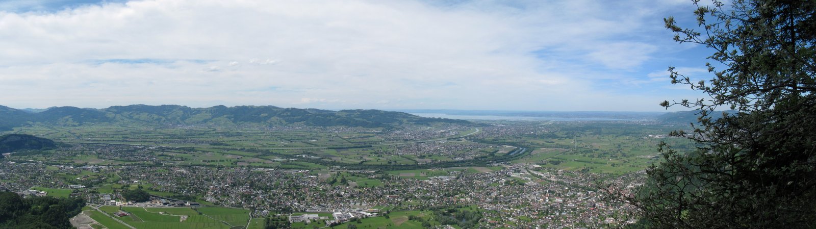 p1a.jpg