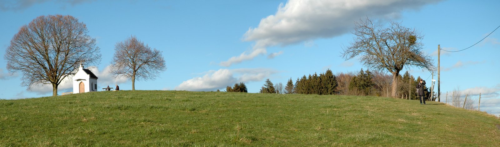 p5.jpg