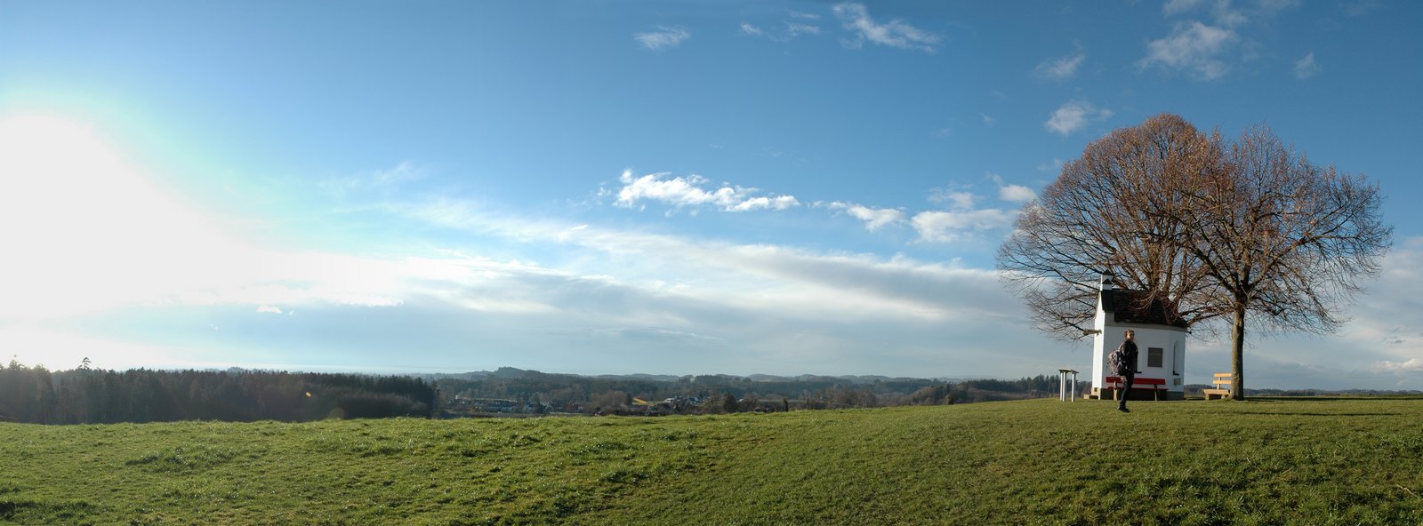 p8.jpg