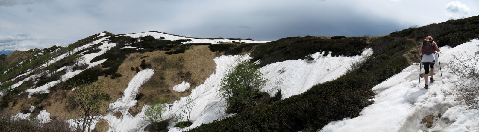 pan43.jpg