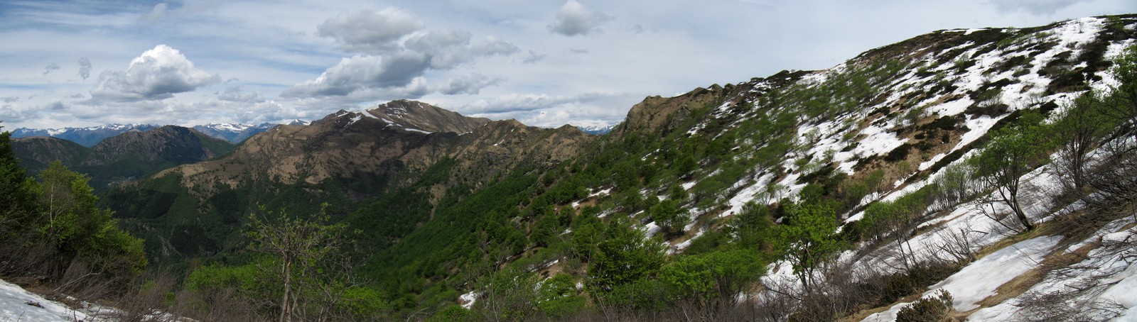 pan44.jpg