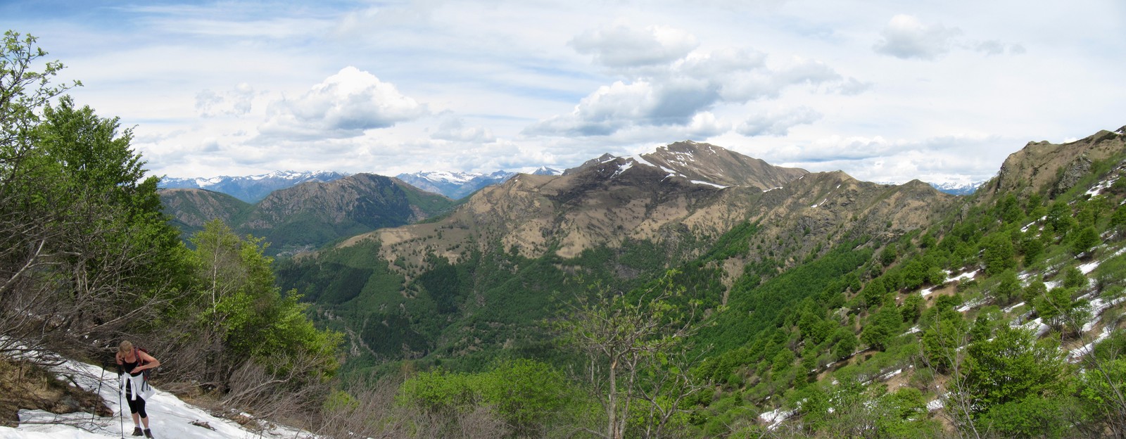 pan45.jpg