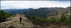 pan06.jpg